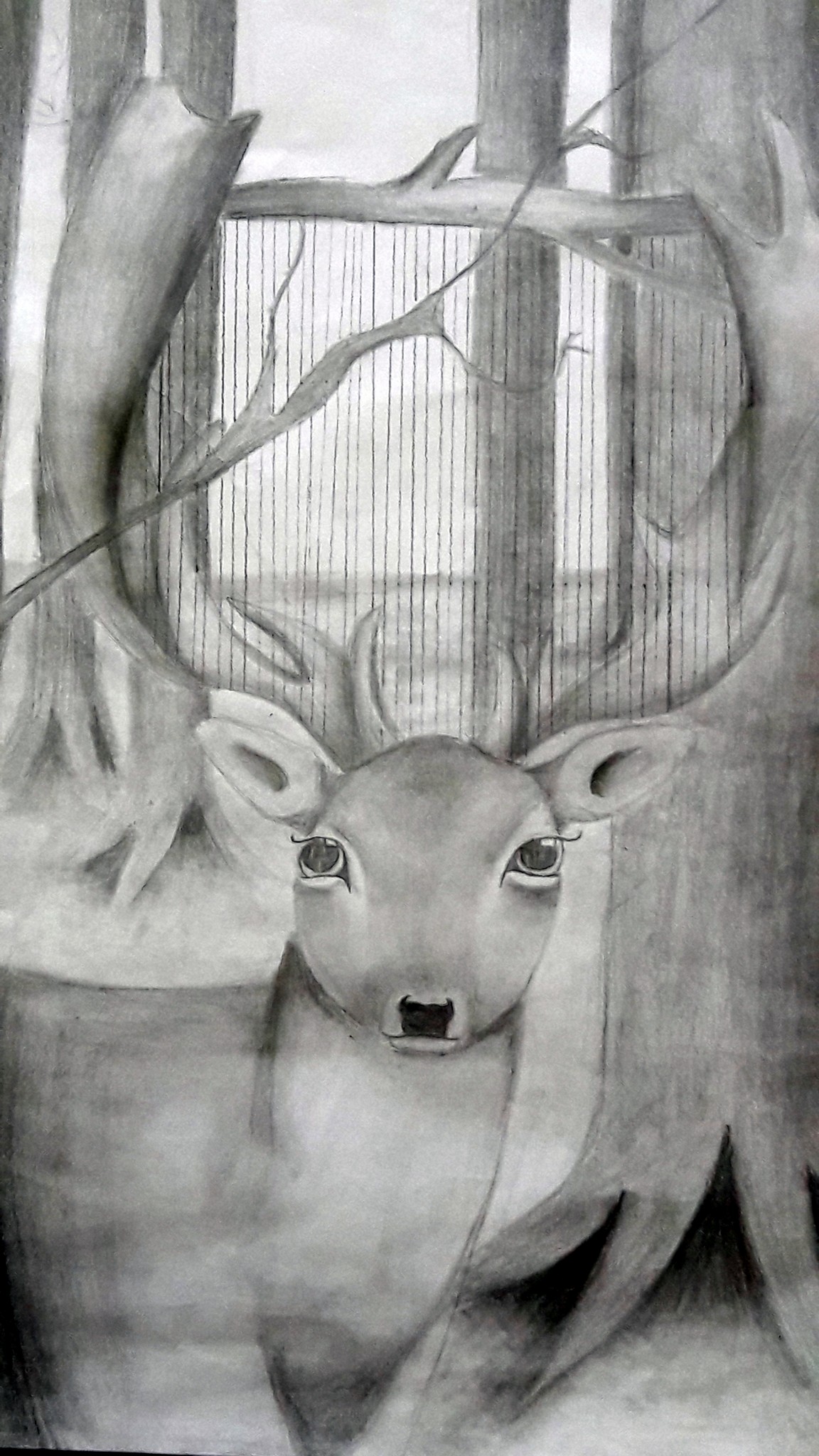 25