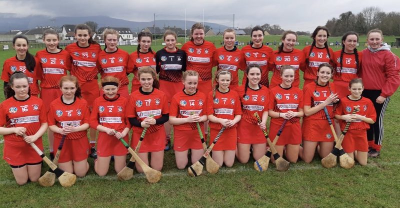 Junior Camogie e1551001452854